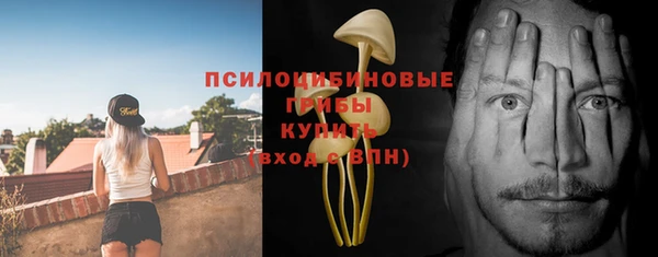 метадон Вяземский