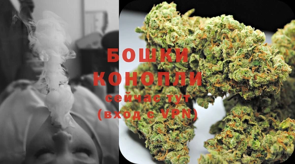 бошки Горнозаводск